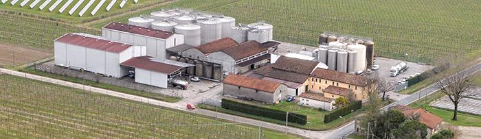 Vinicola Filippi S.R.L.