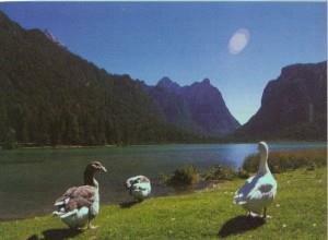 Camping Lago di Dobbiaco