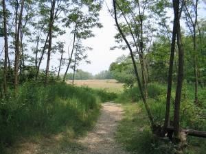 Il Caloggio di Bollate