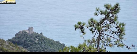 Dolma Tours Sas