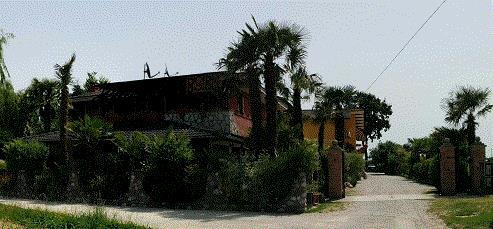 B&B Le Palme D'Oro