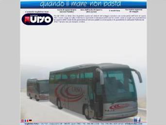 Urso Bus