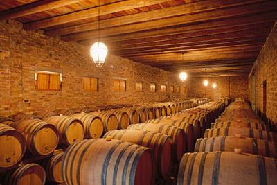 Tenuta Ca' Bolani