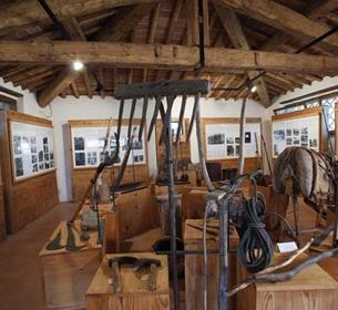 Museo del Bosco