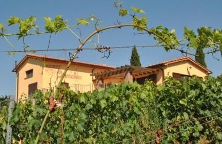 Quercialuce Azienda Vitivinicola