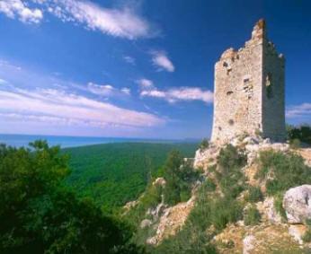 Torre Uccellina