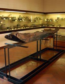 Museo della Società di Studi Patri