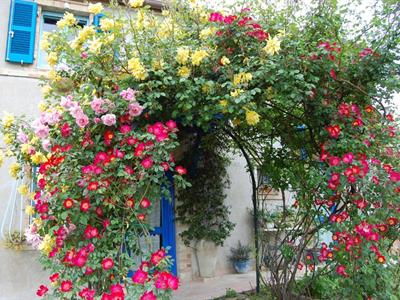 B&B Vento Di Rose - >Monterubbiano