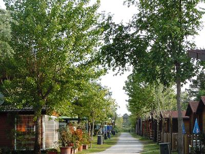 Camping Reno - >Casal Borsetti