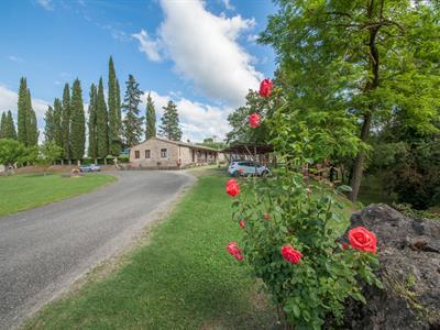 La Carraia - >Pomarance