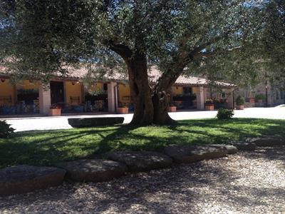 AGRITURISMO ARLENA       - >Bolsena