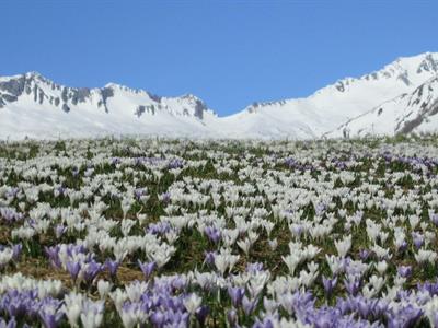 Krahbichl Biohof - >Predoi