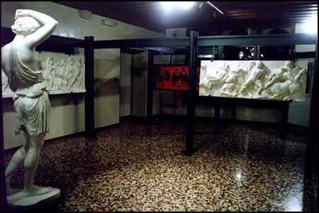 Museo Civico delle Scienze