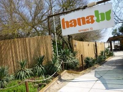 Hana-Bi