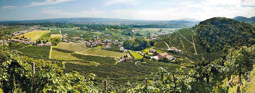 Azienda Merotto