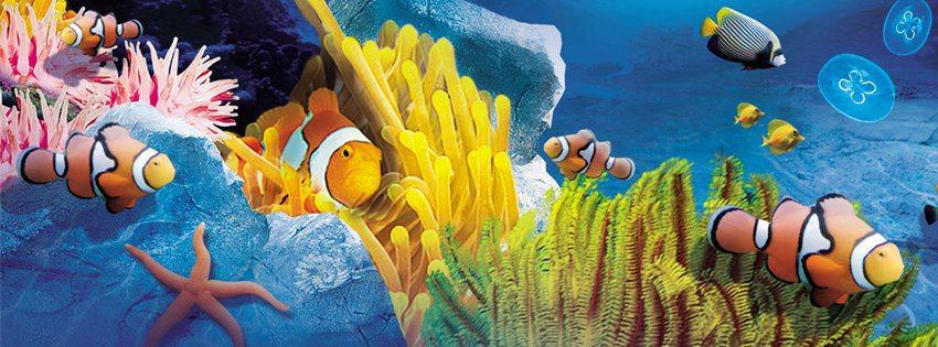 Sea Life Aquarium