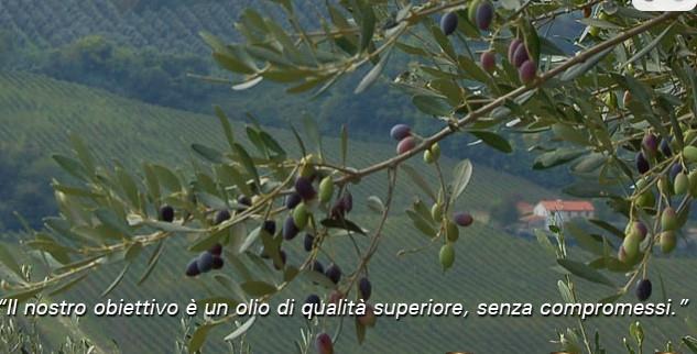 Azienda Agricola Carbonetti