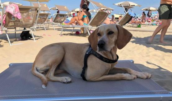 Il Trentanove Beach