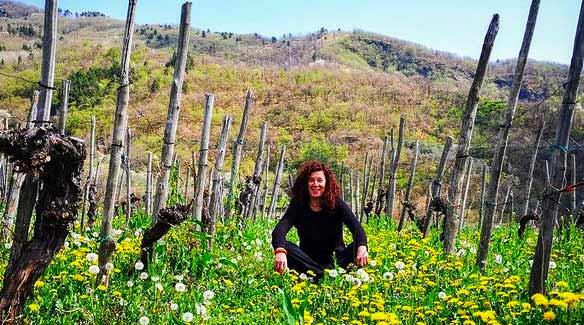 Azienda Agricola Fontanacota 