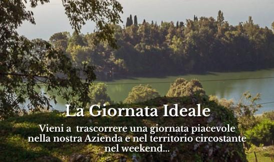 Azienda Agricola S. Anna