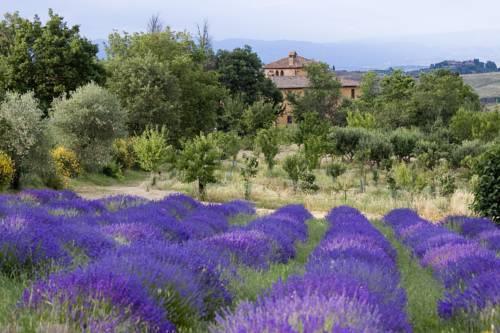 Azienda Agrituristica Podere Pratovecchio