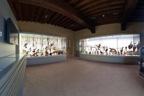 Museo Naturalistico del Frignano