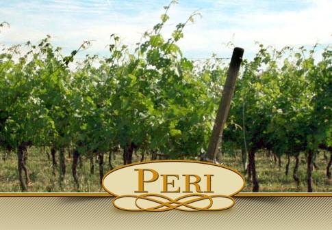 Cantina Peri Bigogno