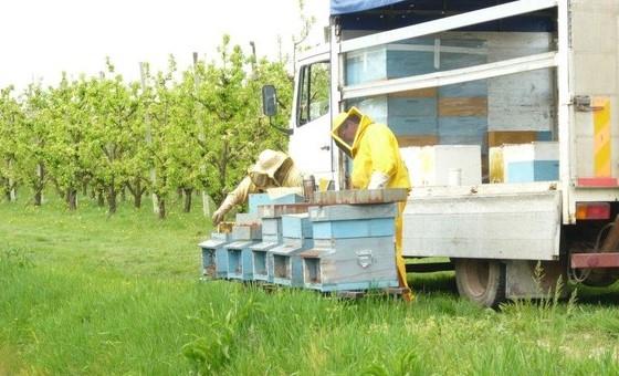 Azienda Agricola Fratelli Simeoni