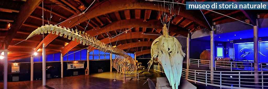 Museo Provinciale di Storia Naturale
