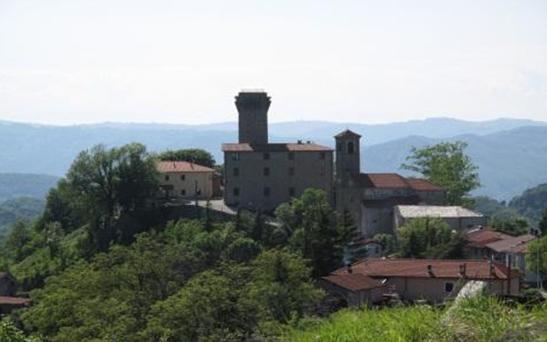 Castello e Torre di Olmo