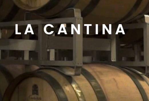Citra Vini