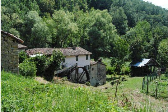 Oasi Prato Stagno di Sassoguidano