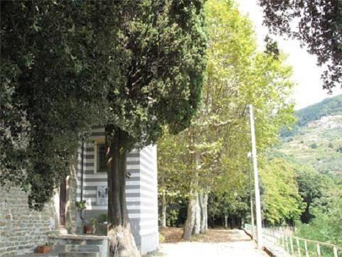 Cipresso Monumentale