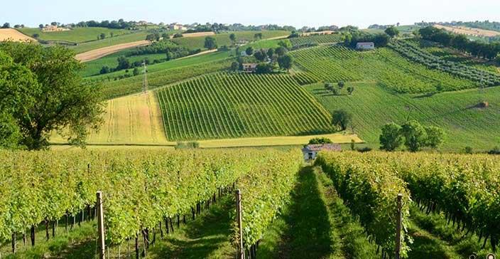 Monte Schiavo