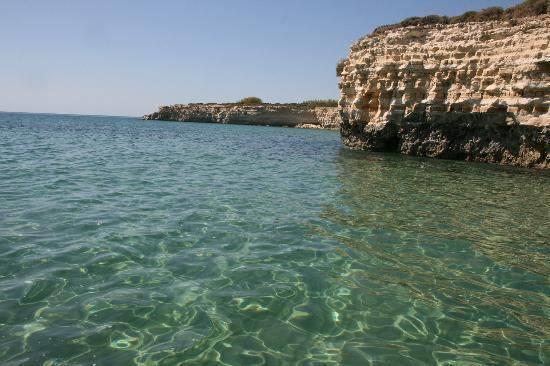 Spiaggia Pineta del Gelsomineto