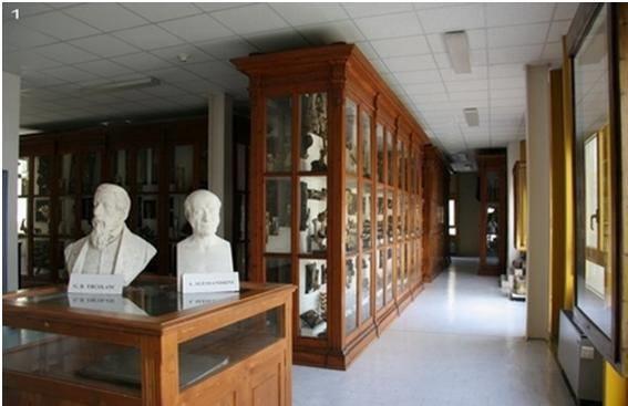 Museo di Anatomia Comparata
