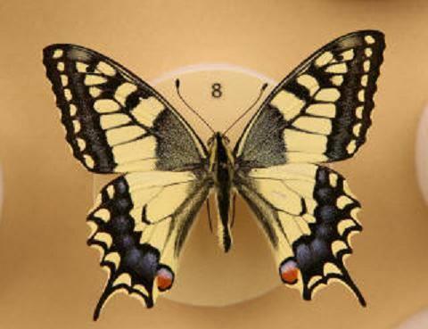 Museo Civico di Storia Naturale