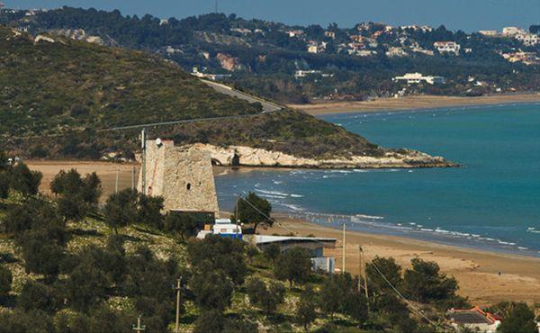 Torre Portonuovo