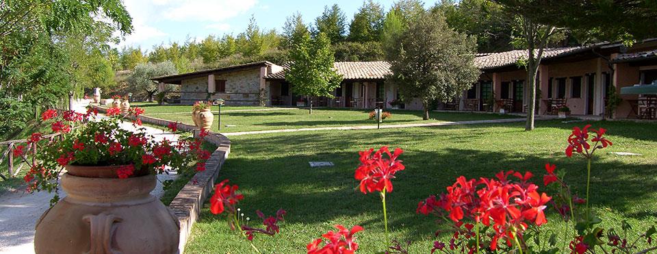 IL POGGIO DEI PETTIROSSI DI FANCELLI MARCO