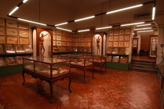 Museo Universitario di Storia Naturale e Strumentazione Scientifica