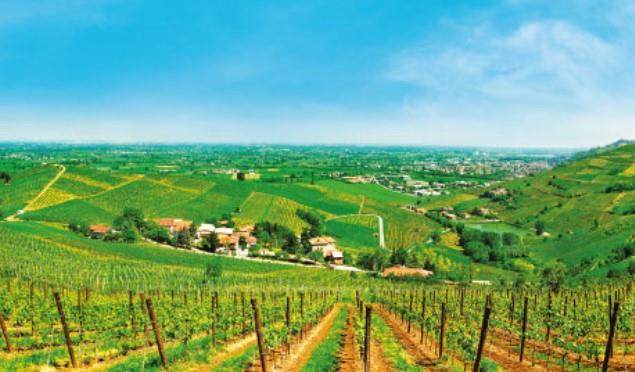 Ca' Montebello