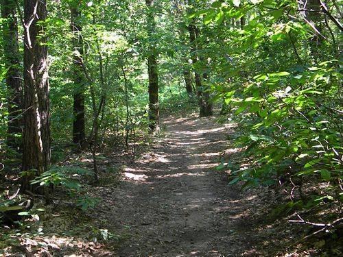 Parco dei Fontanili