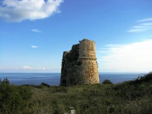 Torre Lupo