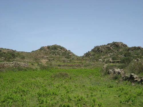 Monte Filo dell'Arpa e Sciara dell'Arpa
