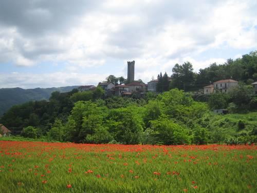 Torre di Denice