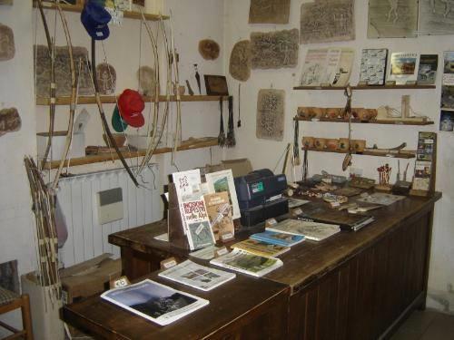 Museo Didattico d'Arte e Vita Preistorica