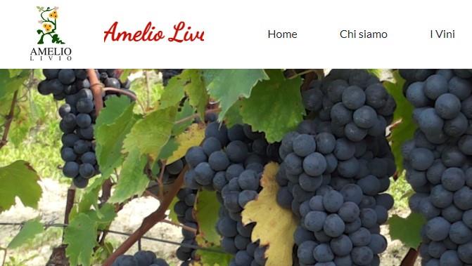 Amelio Livio