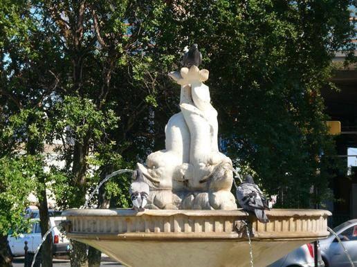 Fontana dei Delfini