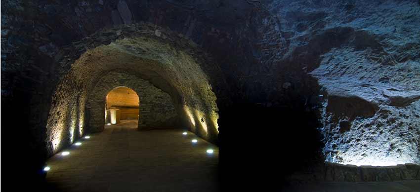 Azienda Vinicola Carbone Societa' Agricola A R.L.
