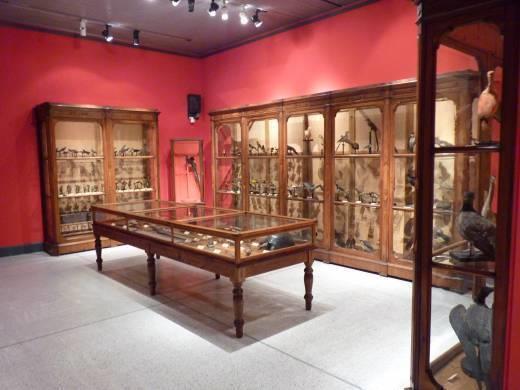 Museo Civico di Storia Naturale